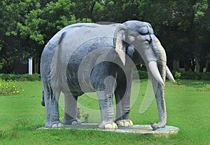 Elephant statue on greenfield