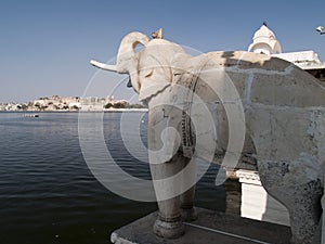Elephant statue at Jag Mandir palace photo