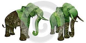 Elephant statue overlaid with dried and green leaf