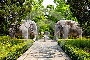 Elephant statues in the sacred way in Ming Xiaoling Mausoleum, located on mount Zijin, Nanjing, Jiangsu Province, China.