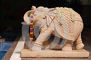 Elephant status in India