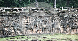 Elephant Stone Carvings Ankor Wat
