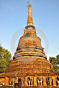 Elephant Stupa at Wat Chang Lom
