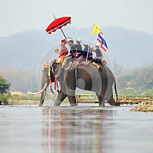 Elephant Sukhothai