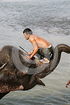 Elephant trainer in Nepal