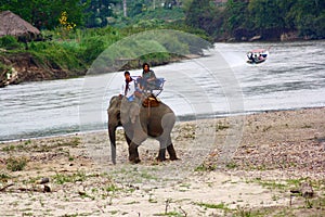 Elephant trip