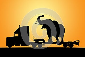 Slon na nákladní auto přívěs 