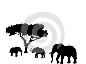 Elephant and two elephant calf mammal black silhouette animal