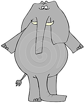 Elephant with two trunks