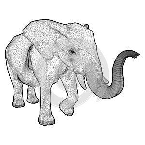 Elephant Vector 01. Isolated On White Background. A Vector Illustration.