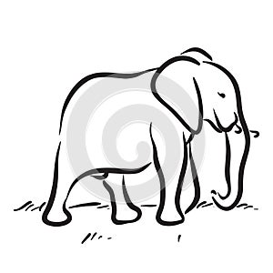 Elephant Vector Drawing