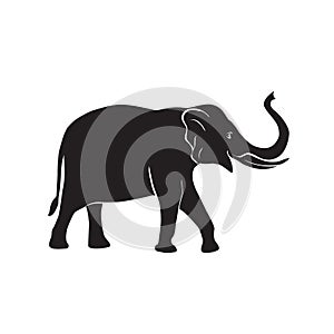 Elephant vector icon photo