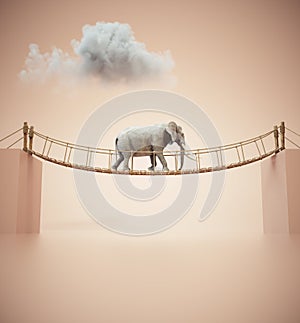 Elephant walks on rope above a gap between two cubes. Risk taking and destination concept