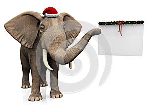 Elephant wearing Santa hat.