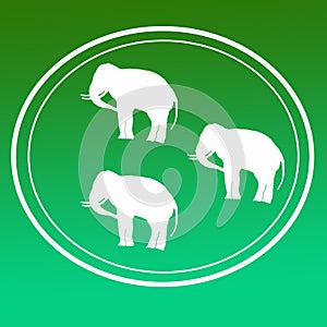 Elephant Wild Animal Trained Animals Illustration Logo Banner Image