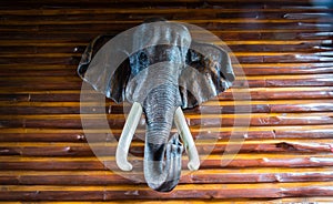 Elephant wood carving