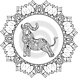 Elephant in a yoga pose ornamental in spirals. Mandala ornament.