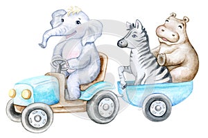 Elephant, zebra, hippo on a blue tractor and trailer. Funny cartoon african animals isolated on a white background. Watercolor