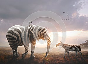 Elephant with zebra stripes
