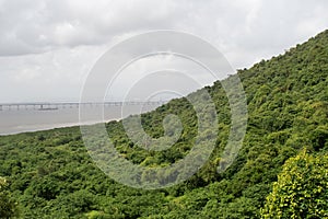 elephanta island mountain slope covered with thick forest cover