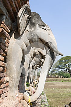 Elephants of Ancient Siam Temple