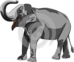 elephants biggest earth mammal animal design vector illustration on white background