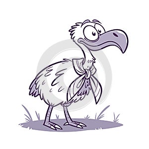 Elephants Bird Encounter