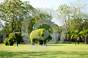 Elephants - Bushes cut to animal figufres in the park of Bang Pa-In Palace