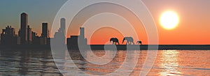 Elephants city. Elephants going to the city during sunset