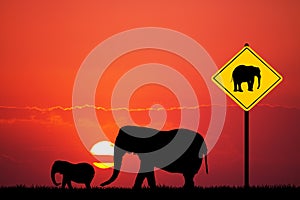 Elephants Crossing