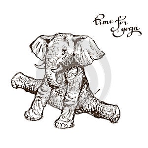 Elephants doing yoga in illustration in the style of engraving vector
