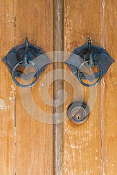 Elephants Door knockers