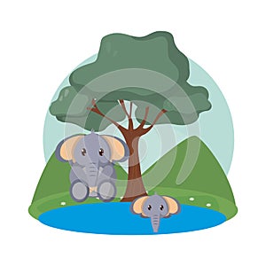 Elephants family cute animals cartoons