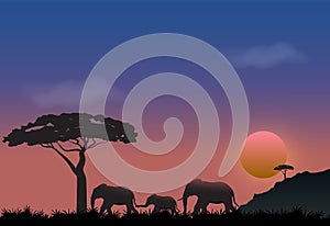 Elephants family in meadow. Nature landscape background