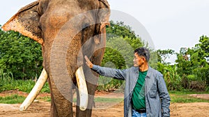 Elephants in the forest and mahout with elephant lifestyle of a mahout in Chang Village, Surin province, Thailand