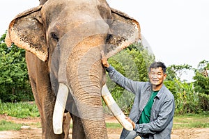 Elephants in the forest and mahout with elephant lifestyle of a mahout in Chang Village, Surin province, Thailand