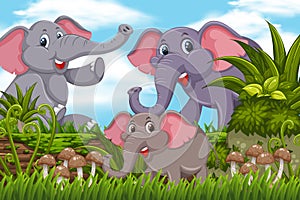 Elephants in jungle scene