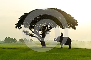Elephants and people raising in the fields