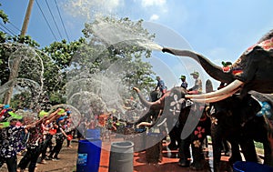 Elephants play water battle during Songkran