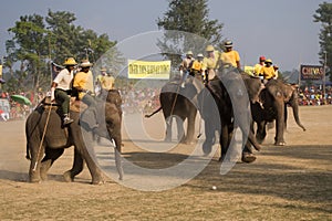 Elephants polo players during elephants polo, Nepal