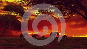 Elephants resting in the Savanna during a Sunset - Loop Landscape Background