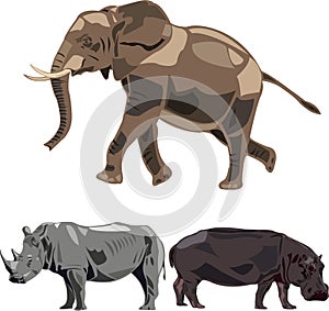 Elephants, rhino, hippo.