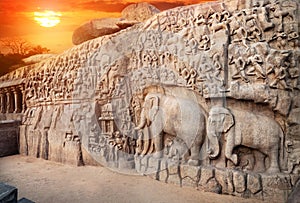 Elephants rock in Mamallapuram