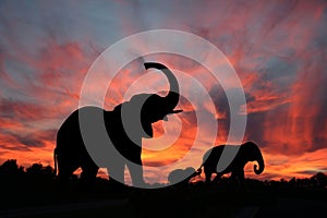 Elephants in a Serengety Sunset