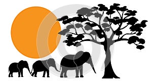 Elephants silhouettes in Africa, vector