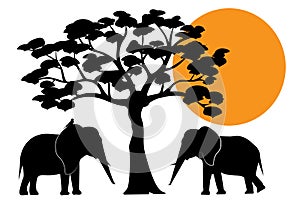 Elephants silhouettes in Africa, vector