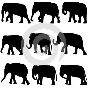 Elephants silhouettes set