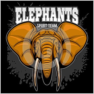 Elephants - sport club team symbol. Safari hunt badge of yellow, elephant tusk. photo