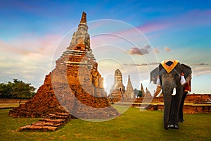 Elephants at Wat Chaiwatthanaram temple in Ayuthaya Historical Park, a UNESCO world heritage site, Thailand