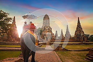 Elephants at Wat Chaiwatthanaram temple in Ayuthaya Historical Park, a UNESCO world heritage site, Thailand